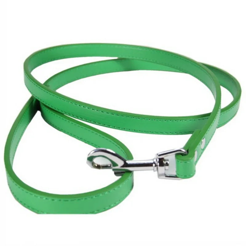 Laisse soumission femme ou homme en simili cuir colorée