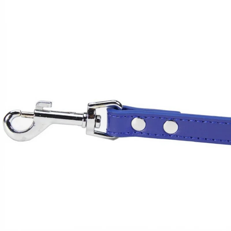 Laisse soumission femme ou homme en simili cuir colorée