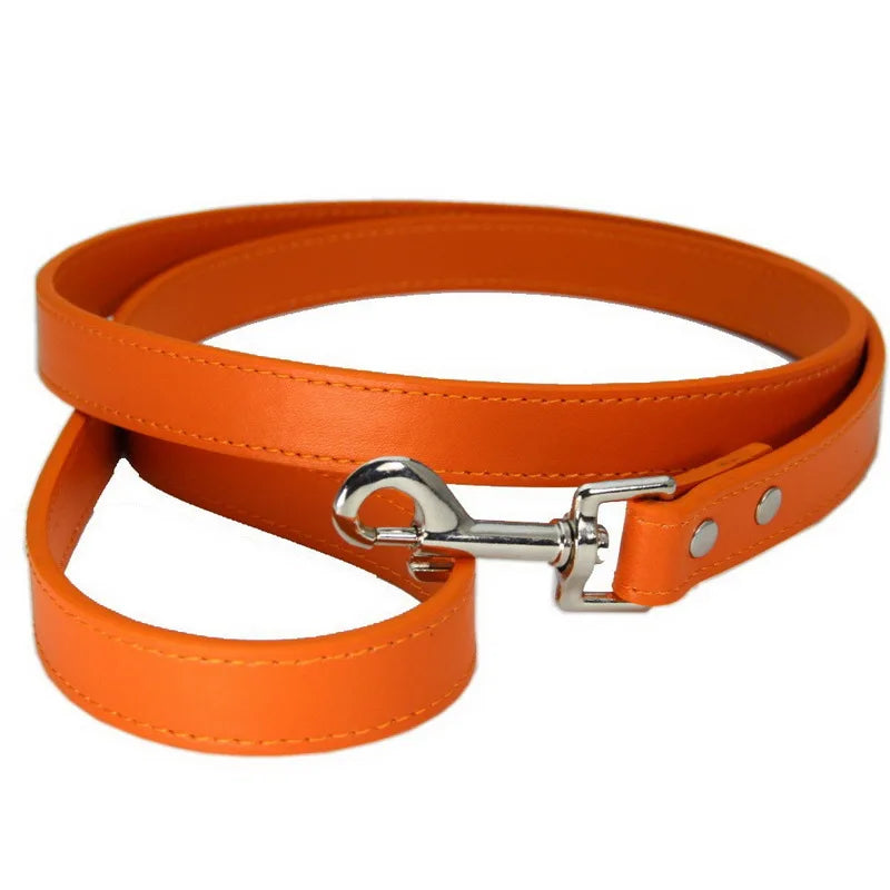 Laisse soumission femme ou homme en simili cuir colorée