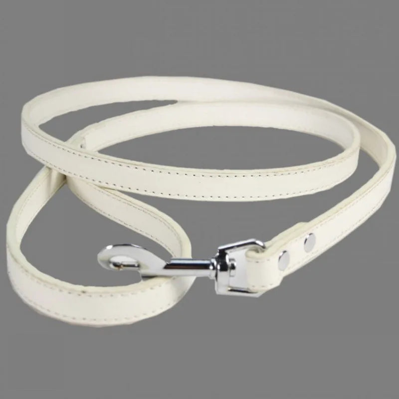 Laisse soumission femme ou homme en simili cuir colorée