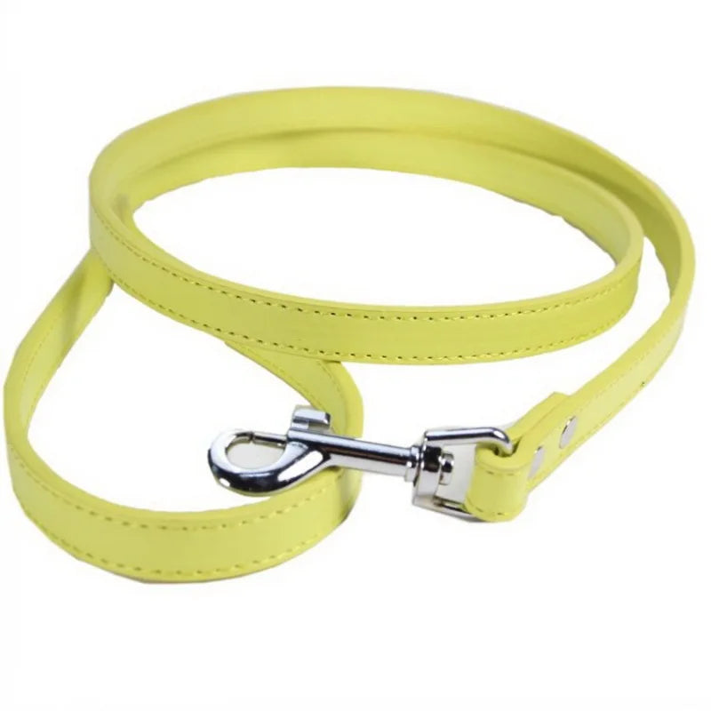 Laisse soumission femme ou homme en simili cuir colorée
